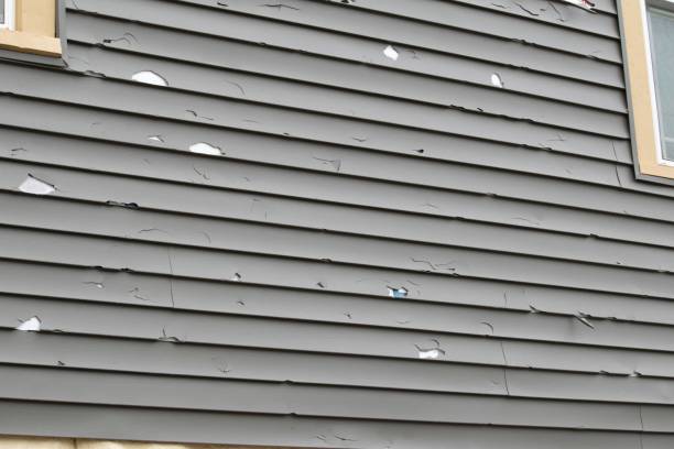 Best Siding Painting and Refinishing  in Cortland, OH